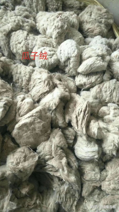 套子绒,无毛绒,瓜子绒怎样区分的 市场上有许多用梳绒机加工羊毛的产品是羊绒吗